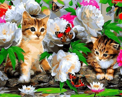 Картина по номерам Котята в цветах 40х50