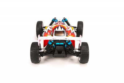 1/16 EP 4WD Off Road Buggy (Brushed, Ni-Mh)