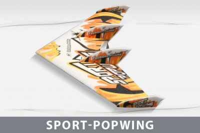 Самолет Techone Sport Popwing EPP COMBO