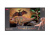 Динозавры MASAI MARA MM206-022 для детей серии Мир динозавров (набор фигурок из 4 пр.)