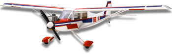 Модель самолета CYmodel IBIS 120 (20-60cc )