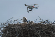 Новые правила использования дронов в Беларуси. Летаем, не нарушая закон. 