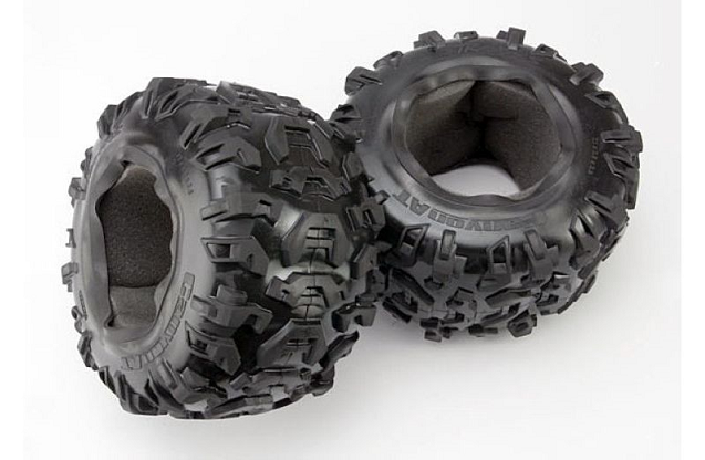 Tires, Canyon AT 3.8'' (2)/ foam inserts (2)