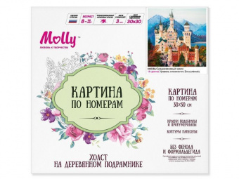 Картина по номерам 30Х30 СРЕДНЕВЕКОВЫЙ ЗАМОК (18 цветов)