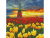Картины мозаикой 30х30 ПОЛЯ ТЮЛЬПАНОВ В НИДЕРЛАНДАХ (27 цветов)