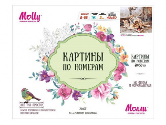 Картина по номерам 40х50 На чердаке (24 цвета)