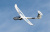 Радиоуправляемый самолет Multiplex RR Heron