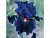 Картина мозаикой 30х30 СИНИЙ ИРИС (квадрат) (14 цветов)