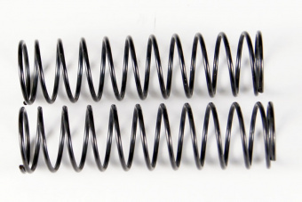 Shock Absorber Spring 2P