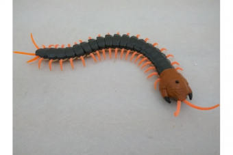 Радиоуправляемая многоножка SCOLOPENDRA