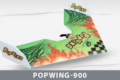 Самолет Techone Popwing-900 EPP COMBO