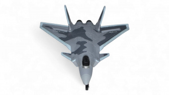 Радиоуправляемый самолет J-20