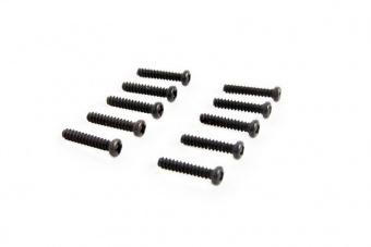 BT 2*10 BH Screw