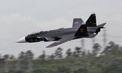 Модель самолета LX Су-47 ''Беркут'' RTF