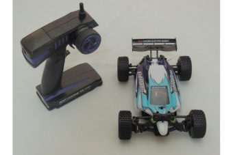 Радиоуправляемая багги HSP 4WD Brushless Buggy EidoLon-PRO 2.4G