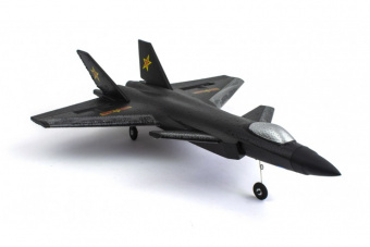 Радиоуправляемый самолет J-20 (EPP) 2.4G Черный