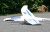 Радиоуправляемый самолет Multiplex RR Heron