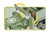 M16 Half-Track