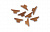 Деревянные утки (орех) Artesania Latina 6x12мм 8шт