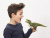 Фигурка Schleich Тираннозавр Рекс Фигурка Schleich Тираннозавр Рекс