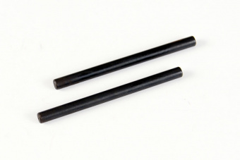 Ось рычага Suspension Arm Hinge Pin 3*48 2P