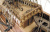 Сборная деревянная модель корабля Artesania Latina Mayflower 1:64