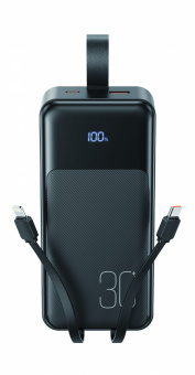 Быстрая зарядка (Lightning, TYPE-C) 30 000 мАч USB-C 20 Вт / USB-A 22,5 Вт PR250