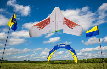 Радиоуправляемое крыло Blade Theory Type W FPV Ready (760мм) BNF Basic