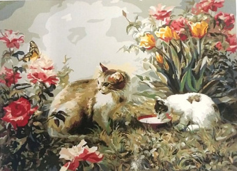 Кошечки. Картина по номерам 40х50