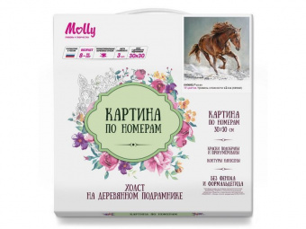 Картина по номерам 30х30 Рысак (17 цветов)