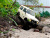 Радиоуправляемая машина WPL Suzuki Jimny (белая) 4WD 2.4G 1/10 RTR