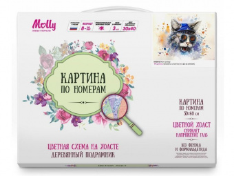 Картина по номерам с цветной схемой на холсте 30х40 Кот-рокер (19 цветов)