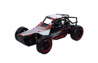 Радиоуправляемый багги YED Ghost Top Speed RTR 2WD 1:10 2.4G
