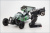 1/10 EP 4WD RACING BUGGY DIRT HOG (Green)