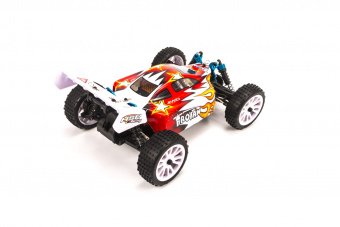 1/16 EP 4WD Off Road Buggy (Brushed, Ni-Mh)