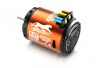 SkyRC 1/10 TORO S60 Combo Set (3250KV Sensered)