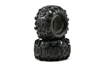 Tires, Canyon AT 2.2'' (2)/ foam inserts (2)