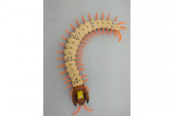 Радиоуправляемая многоножка SCOLOPENDRA