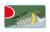 KAWASAKI  KI-61-II