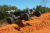 Радиоуправляемая багги TRAXXAS Bandit VXL 1:10 Brushless 2WD RTR Зеленая