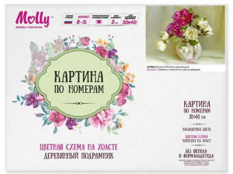 Картина по номерам с цветной схемой на холсте 30х40 Бузин. В белом кувшинчике (23 цвета)