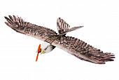 Самолет для сборки E19 1.4M Eagle-II KIT+Motor+ESC+Servo（MM2216 920KV+Prop 9050+20A ESC+9g*4）
