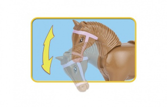 Equestrian competition