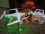 Р/У квадрокоптер Syma X8C 2.4G RTF с камерой Р/У квадрокоптер Syma X8C 2.4G RTF с камерой