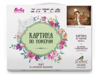 Картина по номерам 40х50 ПОСЛЕ ДОЖДЯ (24 цвета)