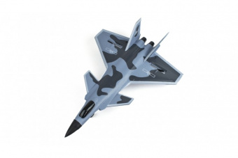 Радиоуправляемый самолет J-20 (EPP) 2.4G Серый