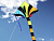 Воздушный змей «Тигр 117х76»