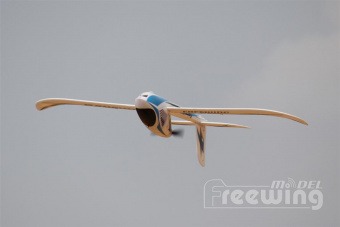 Модель планера FreeWing Seagull KIT