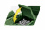 Конструктор COBI Танк T-34/85 COBI-3005A Конструктор COBI Танк T-34/85 COBI-3005A