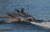Радиоуправляемый катер ProBoat River Jet Boat 23'' Brushless Deep-V RTR